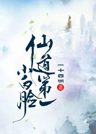 最新小说牧师形象揭秘，探索精神与人性光辉的旅程