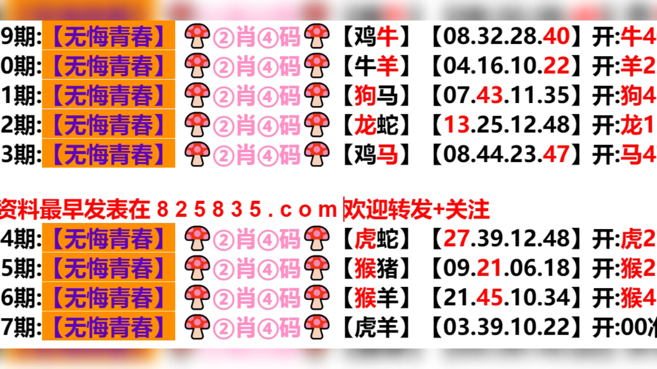 2024年新奥门天天开彩,确保成语解析_U82.102