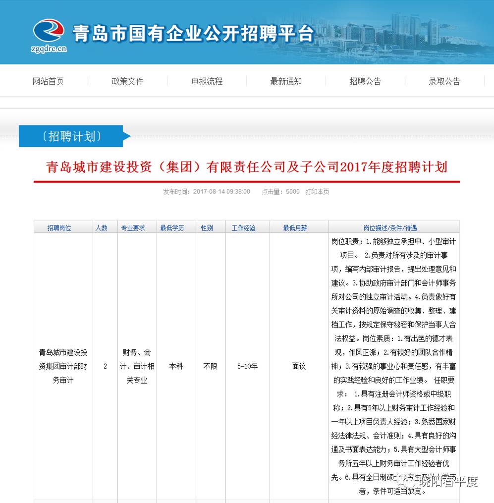 最新青岛招聘动态及就业市场分析