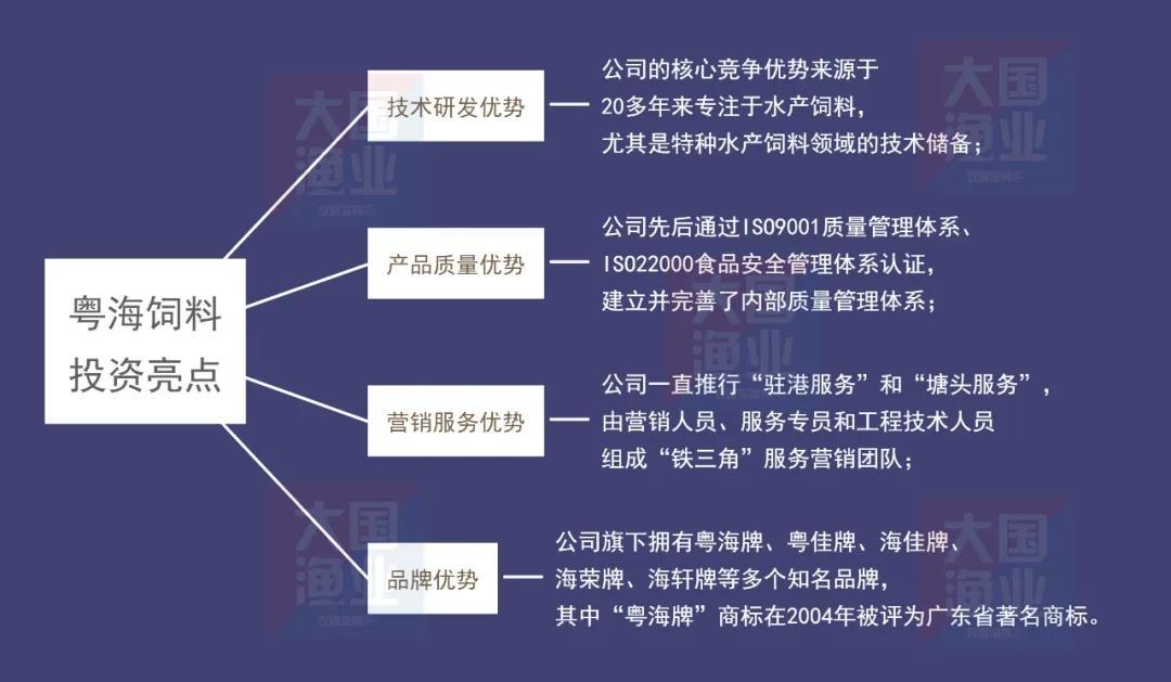 001313最新情况深度解析报告